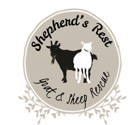 Shepherd’s Rest Goat and Sheep Rescue