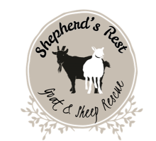 Shepherd’s Rest Goat and Sheep Rescue