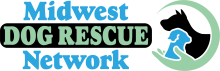 Rescue Dogs