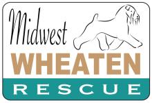 Midwest Wheaten Rescue 